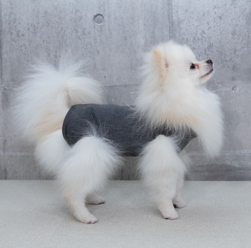 エリザベスウェア