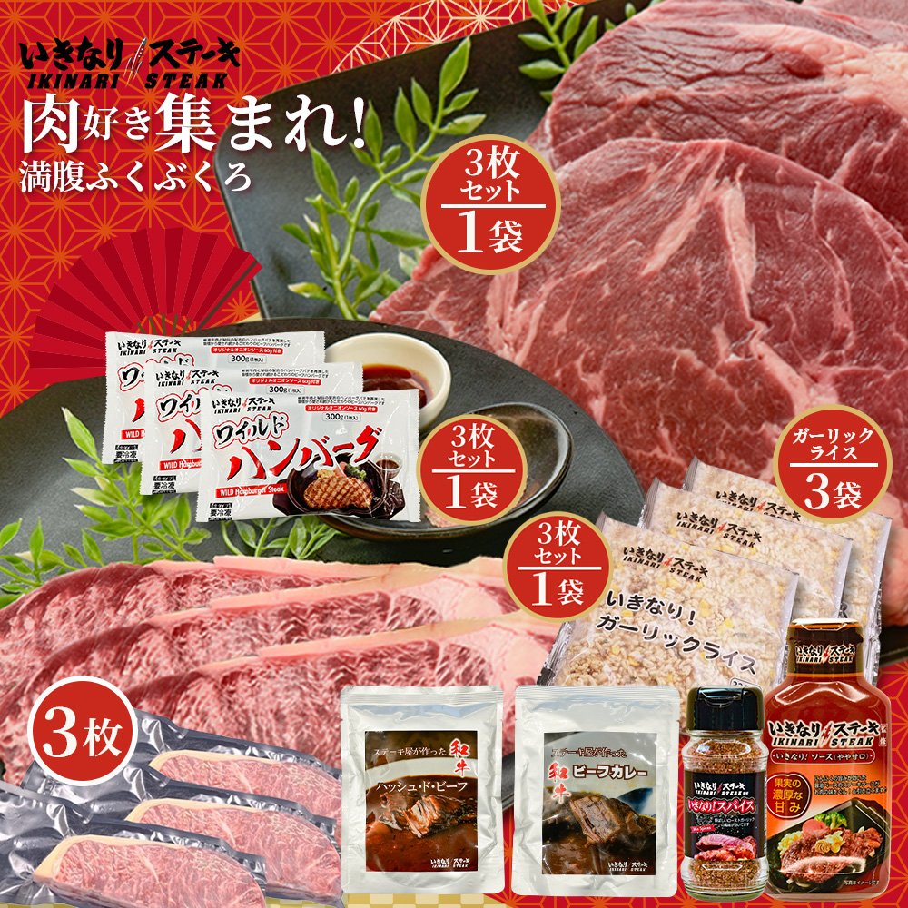 【2026福袋】いきなり！ガーリックライス320g×3 いきなり！サーロインステーキ150g×2 いきなり！ワイルドハンバーグ300g×3 いきなり！ワイルドステーキ300g×3 いきなり！スパイス85g いきなり！ステーキソース195g ビーフカレー170g×1 ハッシュドビーフ170g×1