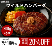 いきなり！ステーキ 冷凍いきなり！ワイルドハンバーグ 300g 6個 (1.8kg) オニオンソース付 豪州産牛肉 ビーフ100％｜ステーキ ギフト お中元 お歳暮 内祝い お肉 セット 人気 通販 お取り寄せ