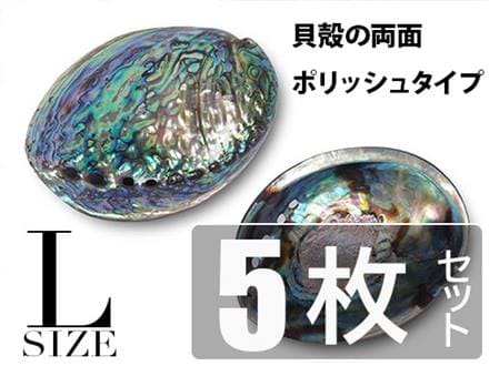 アバロンシェル アバローニ アワビ貝 貝器 皿