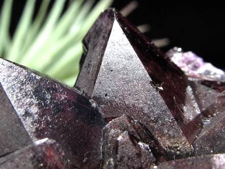 アメジスト 紫水晶 クラスター インド・マハーラーシュトラ州産 原石