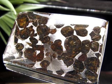 セリコ隕石 パラサイト隕石 プレート SERICHO 石鉄隕石