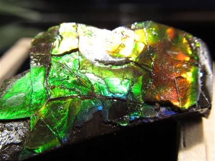 アンモライト 原石 KORITE 化石 宝石