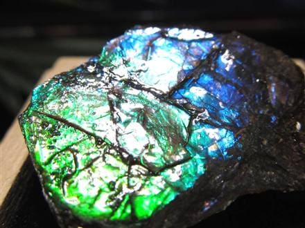 アンモライト 原石 KORITE 化石 宝石