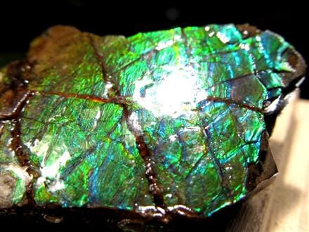 アンモライト 原石 KORITE 化石 宝石