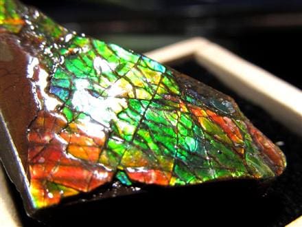 アンモライト 原石 KORITE 化石 宝石