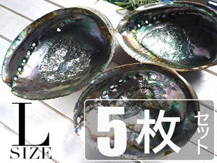 アバロンシェル アバローニ アワビ貝 貝器 皿