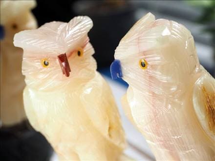 鳥 置物 オウム フクロウ イーグル 風水