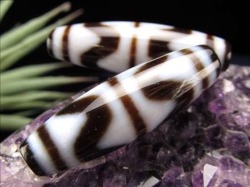 四線虎牙天珠 至純天珠 天珠 天珠卸 てんじゅ