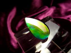 アンモライトルース