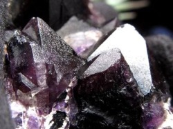アメジスト 紫水晶 クラスター インド・マハーラーシュトラ州産 原石