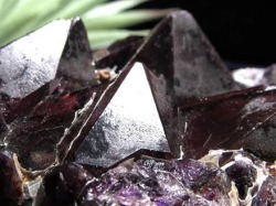 アメジスト 紫水晶 クラスター インド・マハーラーシュトラ州産 原石