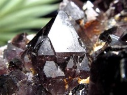 アメジスト 紫水晶 クラスター インド・マハーラーシュトラ州産 原石