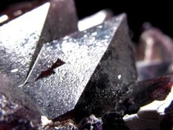 アメジスト 紫水晶 クラスター インド・マハーラーシュトラ州産 原石