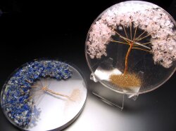 オルゴナイトコースター