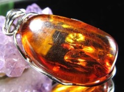 天然琥珀 アンバー ペンダント Silver925 バルト海産