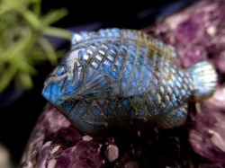 ディスカス 置物 ラブラドライト 熱帯魚の王様 彫刻