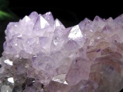 ラベンダーアメジスト 紫水晶 スピリットクォーツ カクタスクォーツ サボテンクォーツ