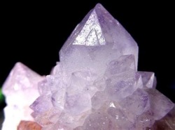 ラベンダーアメジスト 紫水晶 スピリットクォーツ カクタスクォーツ サボテンクォーツ