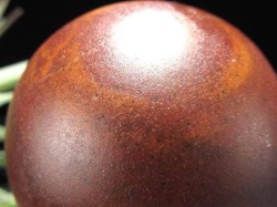 シバリンガム シヴァリンガム クリプトクリスタリンクォーツ 子宝 ヒンズー教