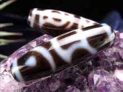 佛龍眼梵字天珠 至純天珠 天珠 天珠卸 てんじゅ