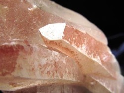 レムリアン レムリアンシード レムリアンシードクリスタル レコードキーパー レムリアンリッジ