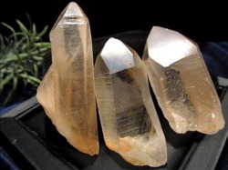 ゴールデン レムリアン レムリアンシード レムリアンシードクリスタル シンギングクリスタル