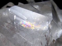 水晶 クラスター クォーツ 原石 トマスゴンサガ産