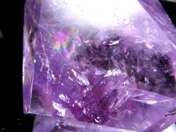 アメジスト 紫水晶 インテリア タンブル 浄化