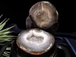 アゲート 財宝瑪瑙 トレジャーメノウ 瑪瑙 龍穴