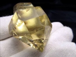 セプターカットシトリン結晶