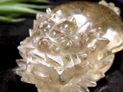 ゴールドルチルクォーツ 龍亀 ロングイ 金針 水晶 彫刻 置物 財運 瑞獣