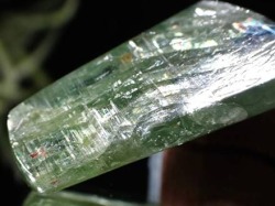 グリーンカイヤナイト 藍晶石 原石 結晶