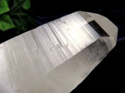 ガネーシュヒマール水晶 ヒマラヤ水晶 水晶クラスター 原石 ガネーシュヒマール ガネーシャ