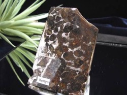 セリコ隕石 パラサイト隕石 プレート SERICHO 石鉄隕石
