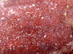 アメジスト 紫水晶 クラスター 国産 浄化