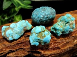 ソノランゴールドターコイズ 原石 ソノラン鉱山産 12月の誕生石 原石