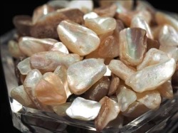 マザーオブパール