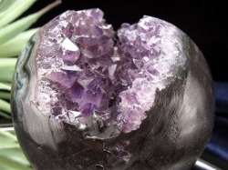 笑福 縁起物 笑口 アメジスト 丸玉 スフィア
