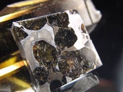 セリコ隕石 パラサイト隕石 プレート SERICHO 石鉄隕石