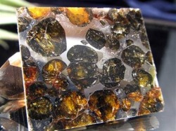 セリコ隕石 パラサイト隕石 プレート SERICHO 石鉄隕石