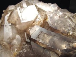 アリゲータークォーツ ジャカレー水晶 原石 ワニ水晶