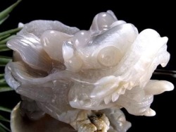 瑪瑙 メノウ めのう 龍穴アゲート トレジャー瑪瑙 龍亀 ロングイ 彫刻 置物