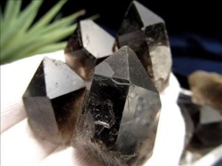 モリオン 黒水晶 ツーソン ポイント 原石