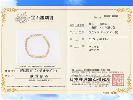 鑑別書付き】◇希少レア！本物◇約4億5千万年前のミステリアスな宇宙