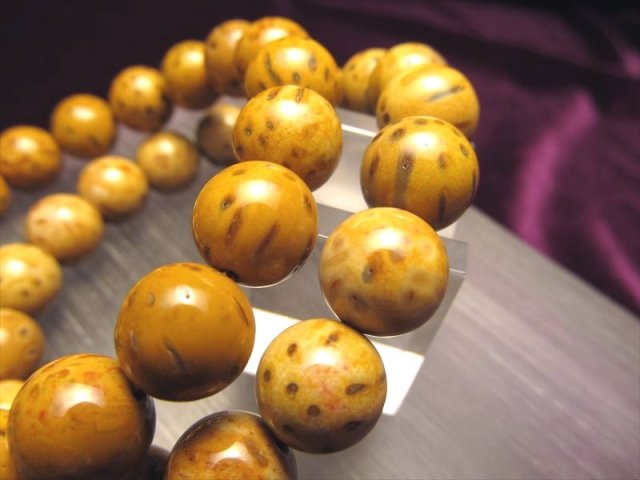 ◇限定入荷！◇木の化石◇激安！1本1500円◇ペトリファイドウッド