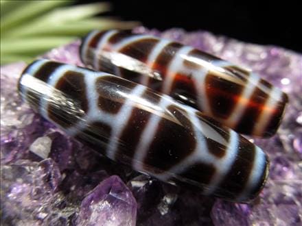 チベット天珠（亀甲長壽天珠2） （亀甲長寿天珠 亀甲長寿六眼  