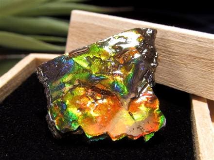 究極品質　秘蔵放出　時空を超えし奇跡の宝石　幻のドラゴンスキンアンモライトPT 究極品質 秘蔵放出 時空を超えし奇跡の宝石 幻のドラゴンスキン