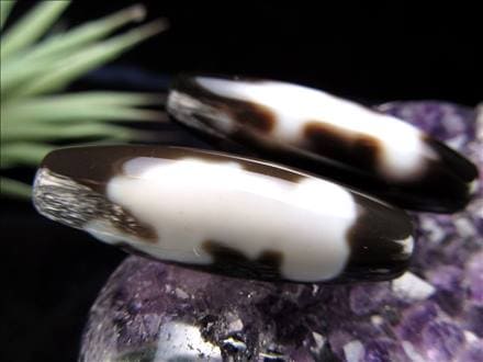 ◇A至純天珠◇大黒天天珠(だいこくてんてんじゅ)◇サイズ：約37mm◇