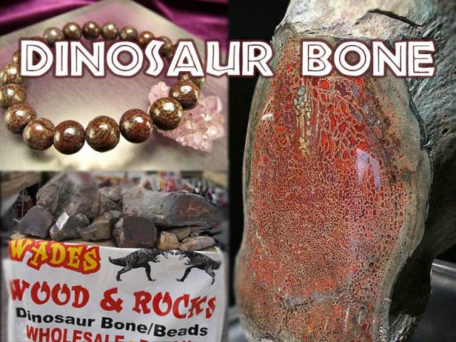 ◇限定4本のみ!!◇ツーソン展示会商品◇激レア！恐竜の骨の化石